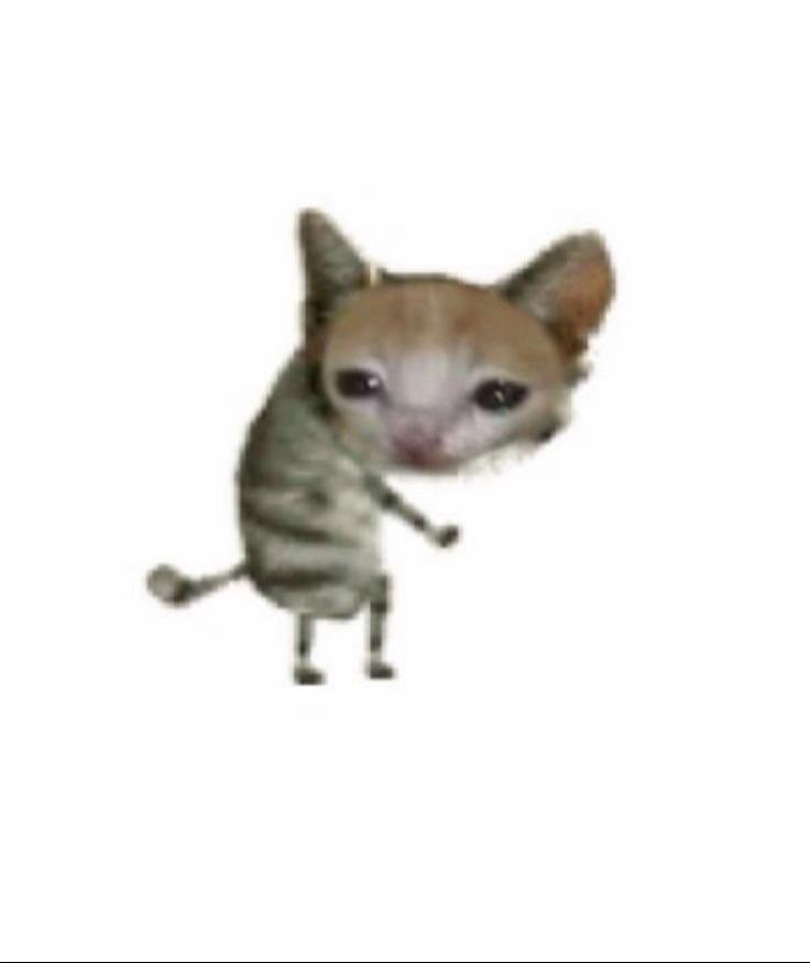 @뚱땅이