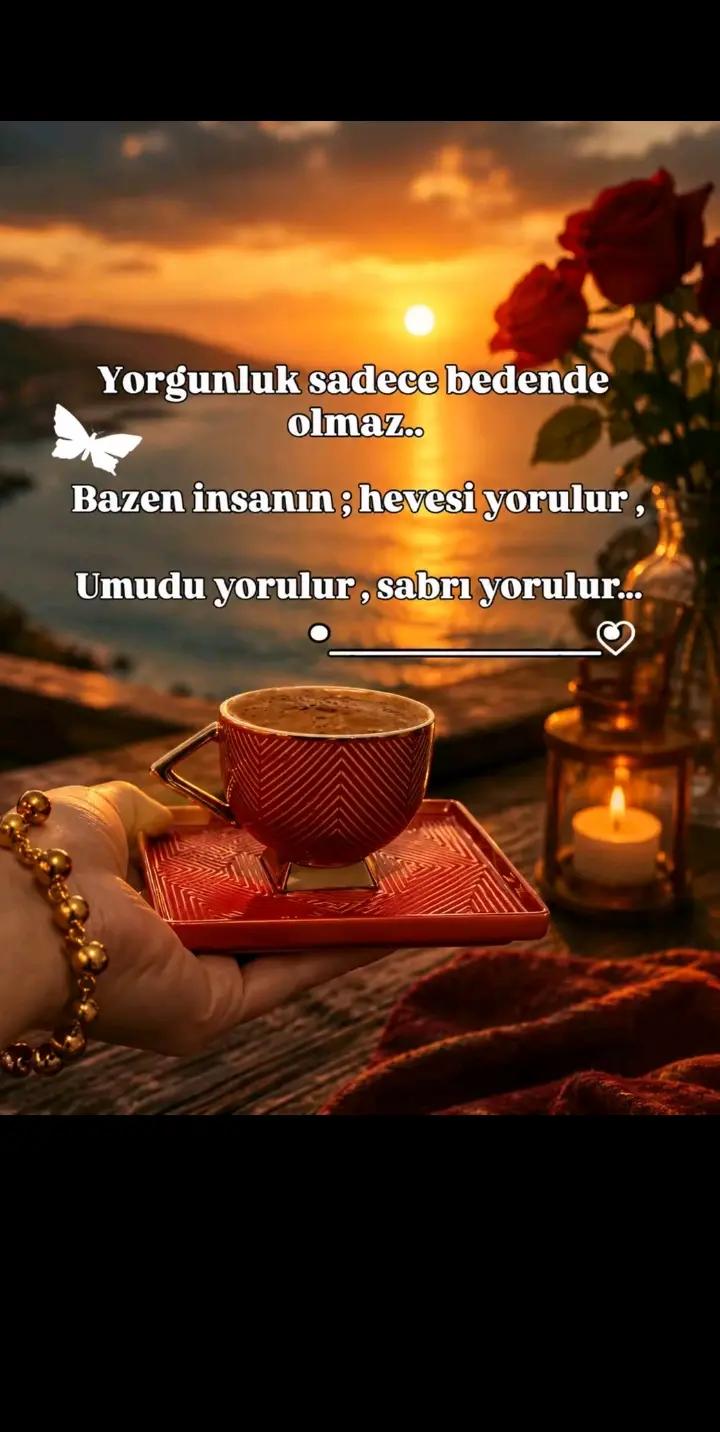 @Dilek Ersöz