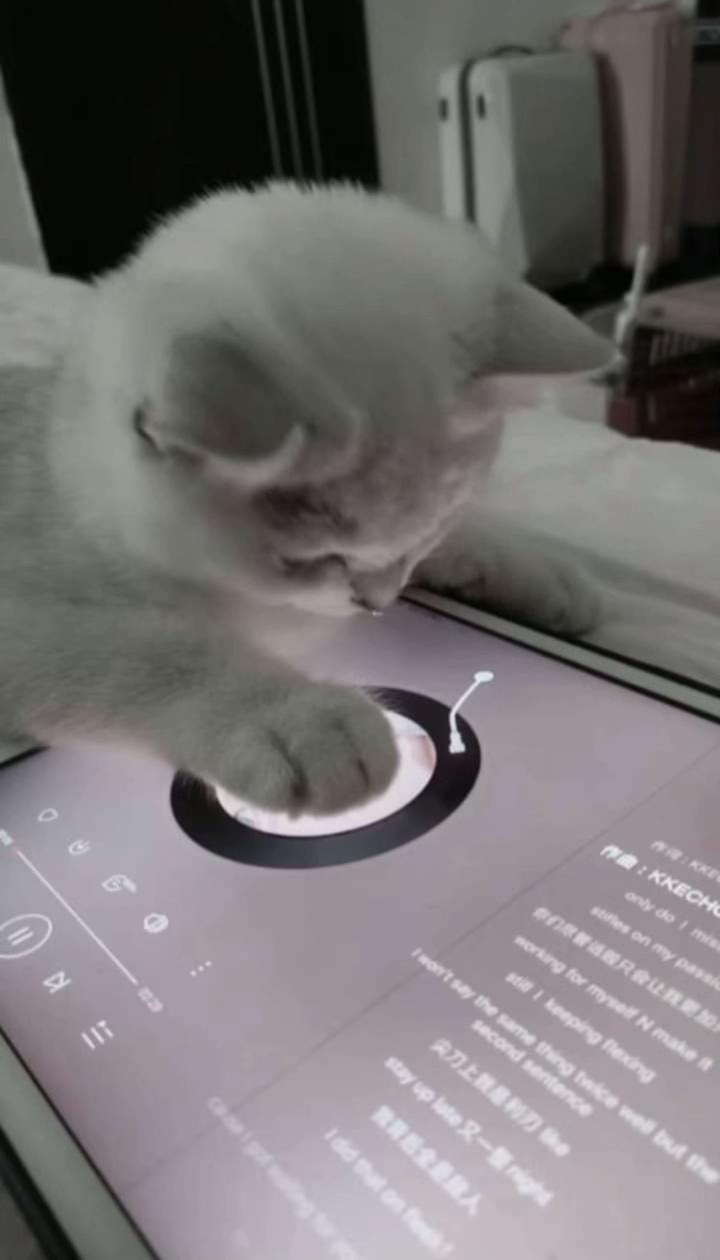 @𝐴𝑜𝑜𝑚 𝑧𝑧 🐰ྀི🤍