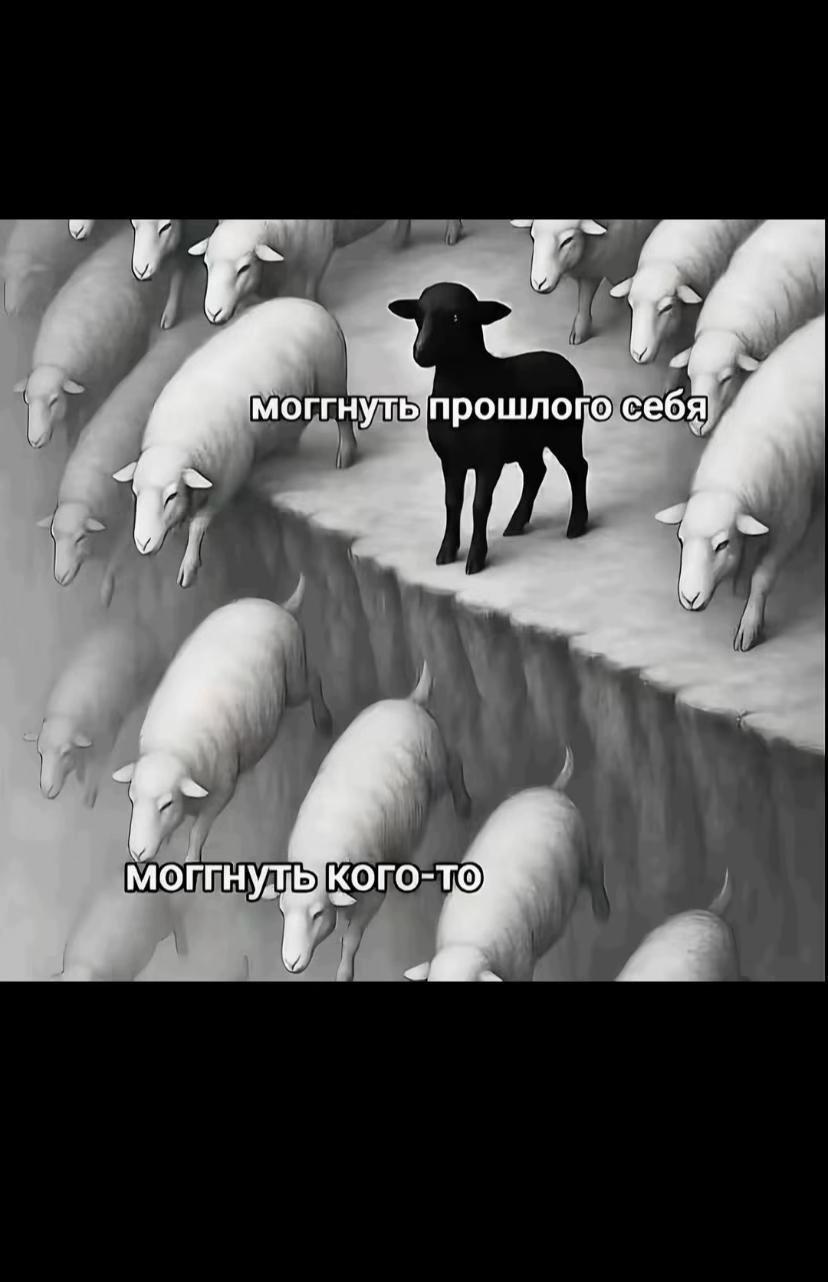 @hogdog