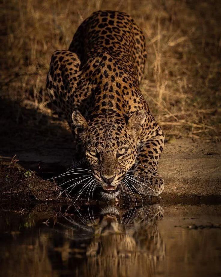 @𝐈𝐛𝐨𝐥𝐲𝐚