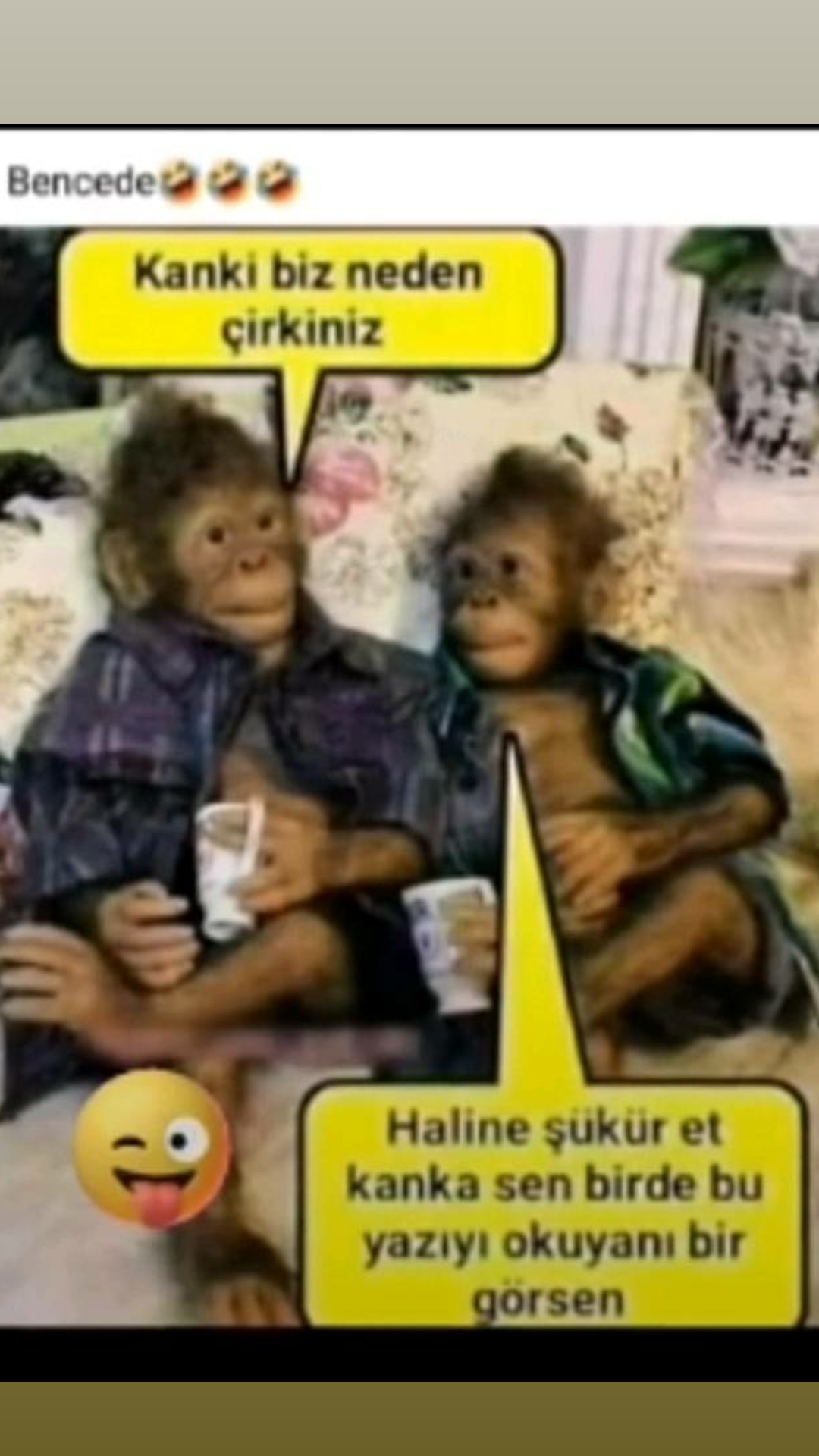 @haticeçift