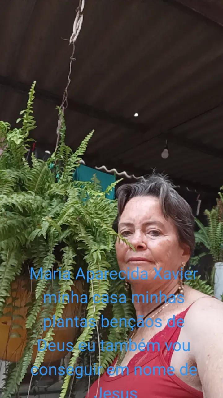 @Maria Aparecida X368