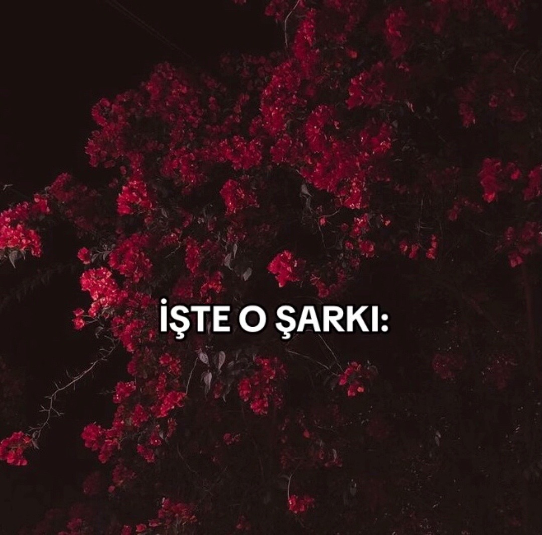 @C A N