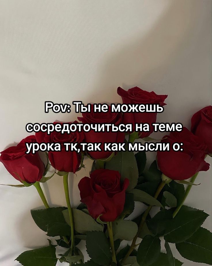 @💫𝐸𝑙𝑒𝑛𝑎 𝐾𝑢𝑡𝑦𝑖𝑛𝑎💫