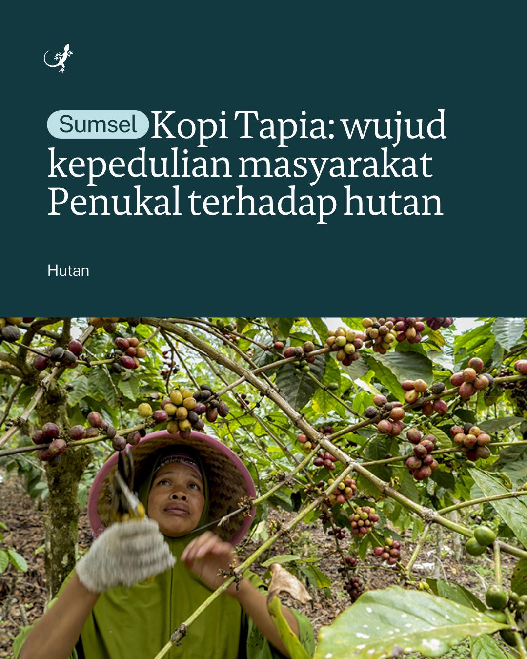 @mongabayindonesia