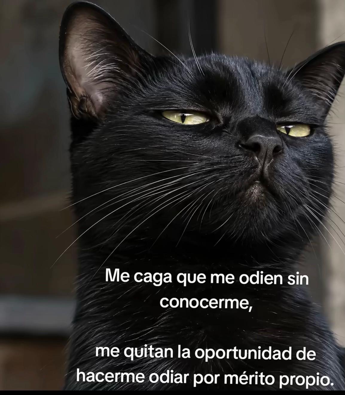 @LETTY