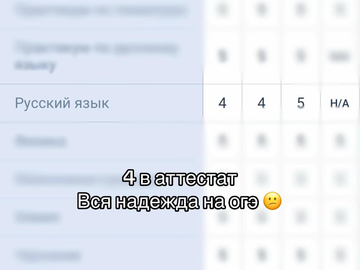 @Arina Shvets