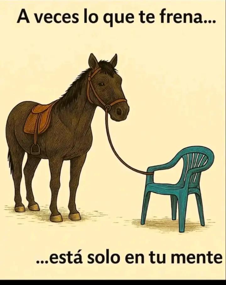 @Mary.S