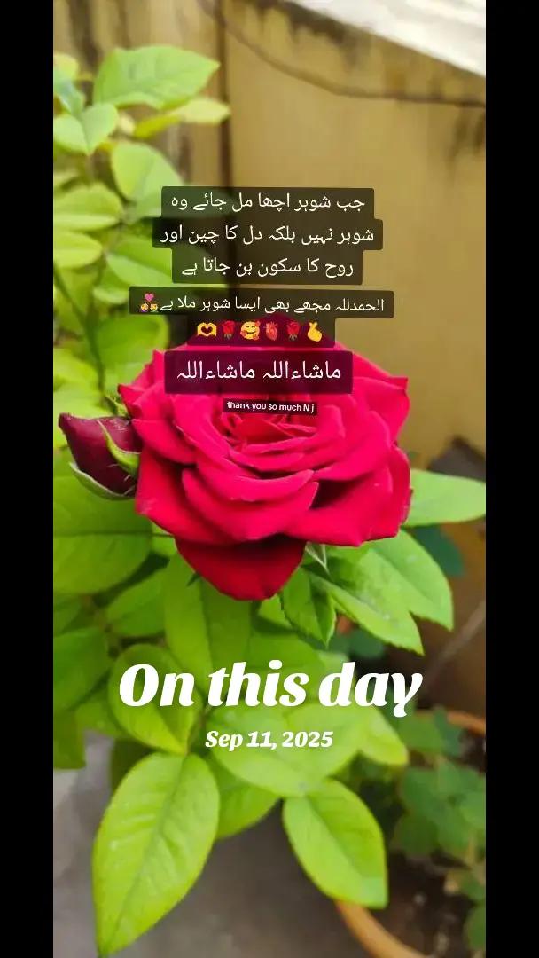 @Abdullah Hassan