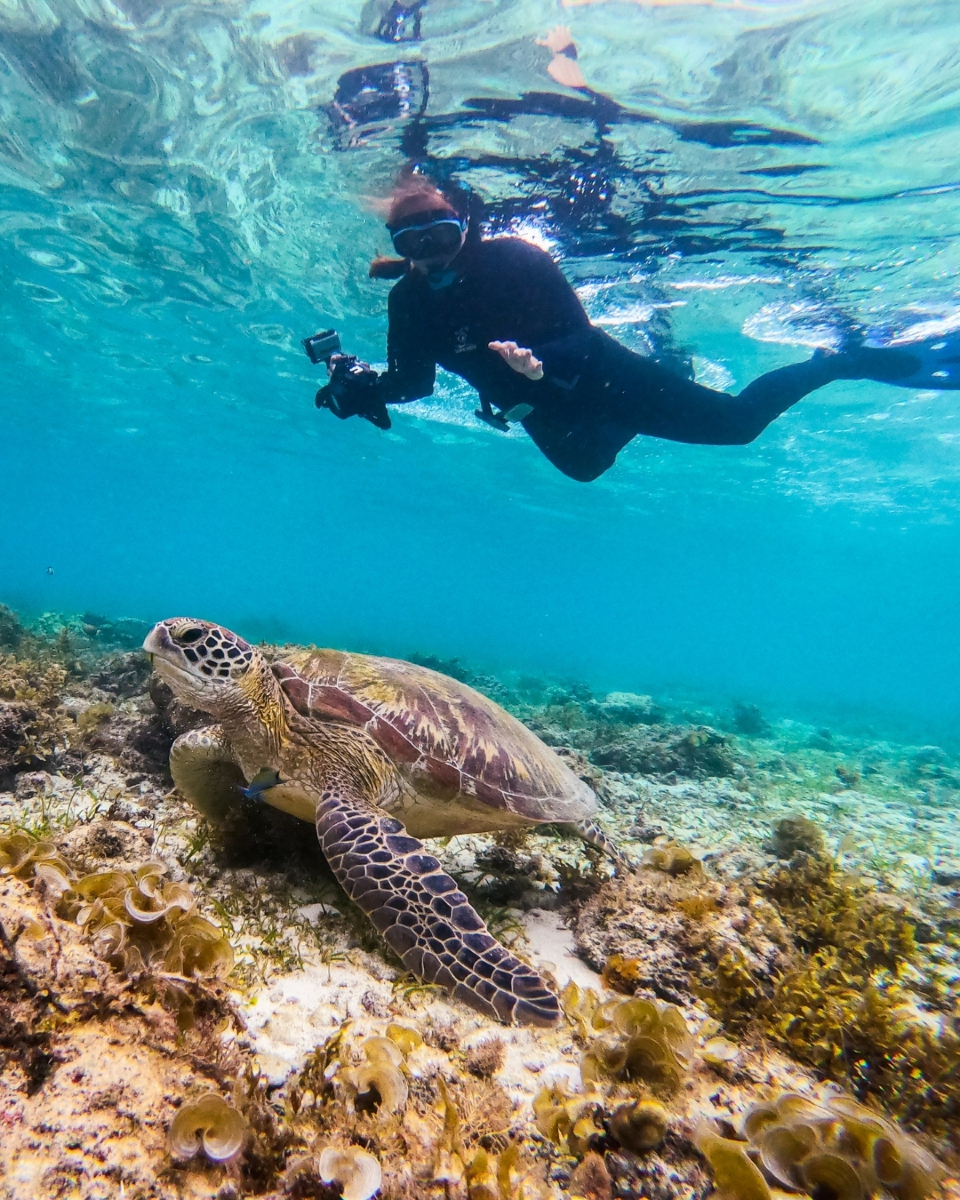 @Scuba Diving with Ara