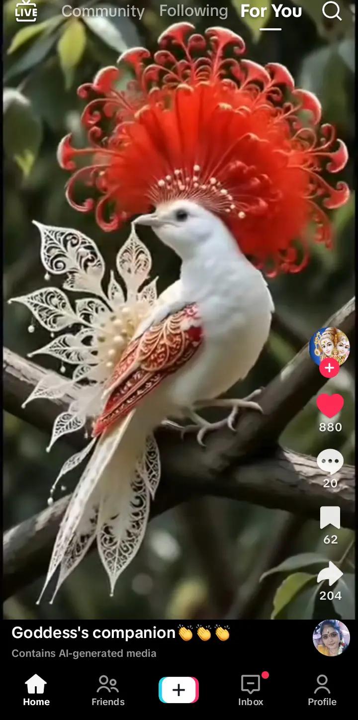 @ravi.ravi