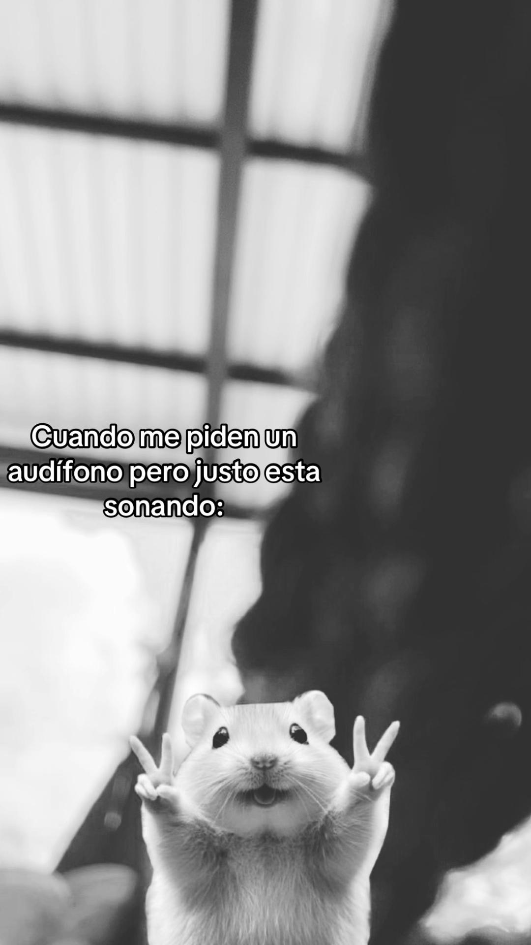 @Renatha.9