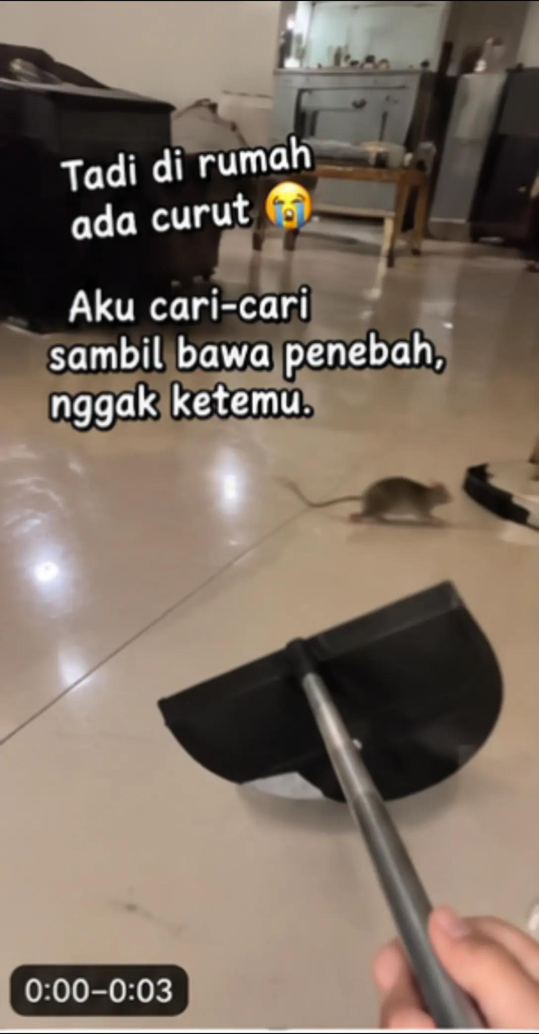 @MAS EDO