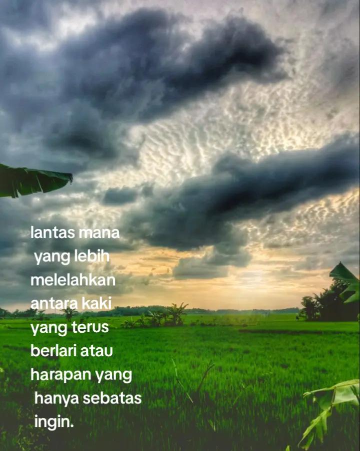 @Wong★