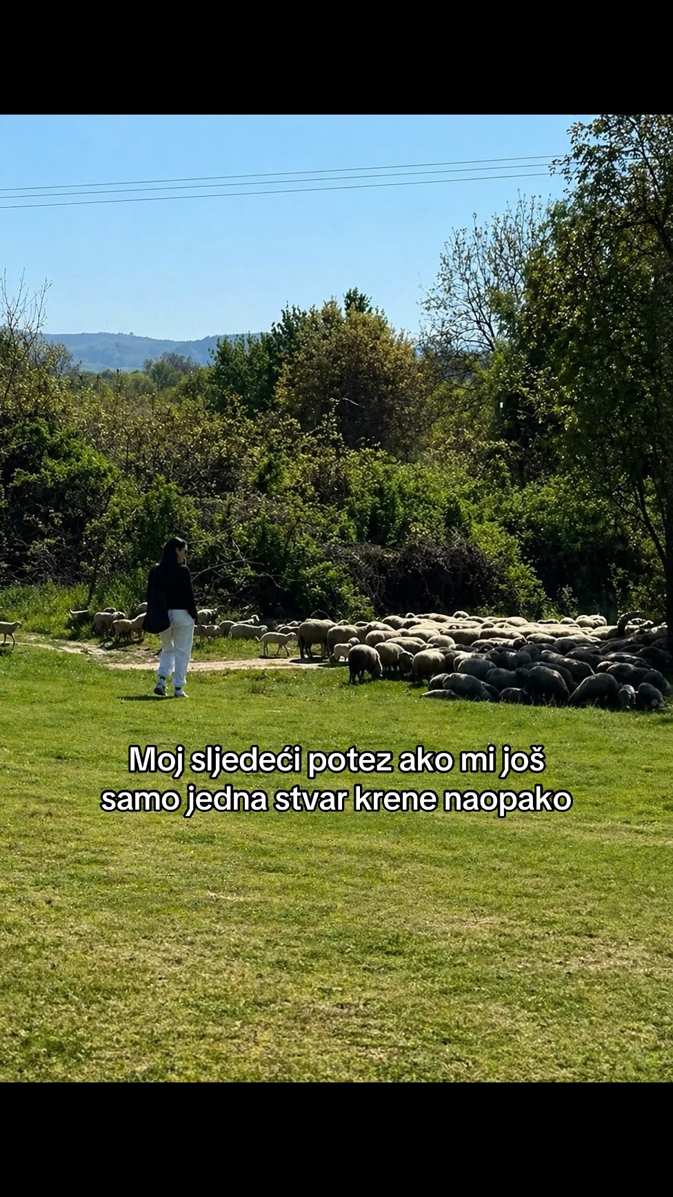 @sajroni