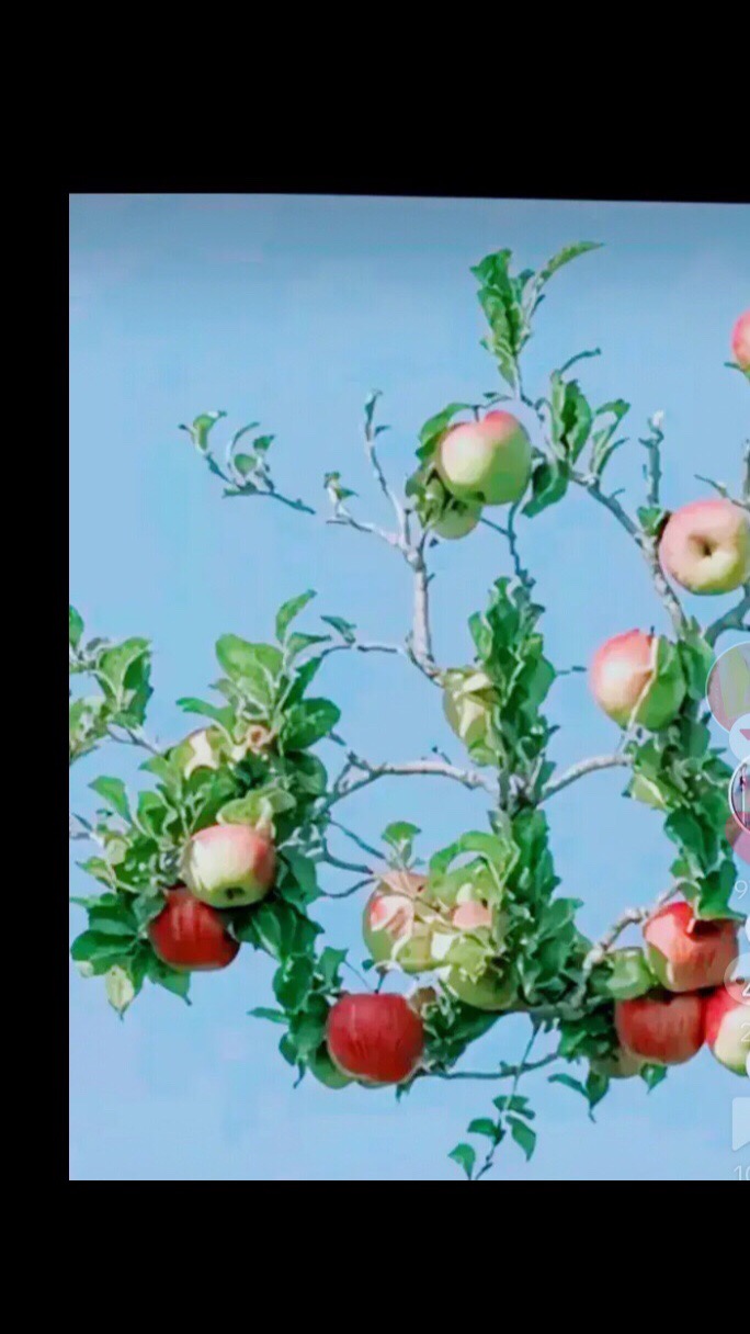 @zakirjanizzz100