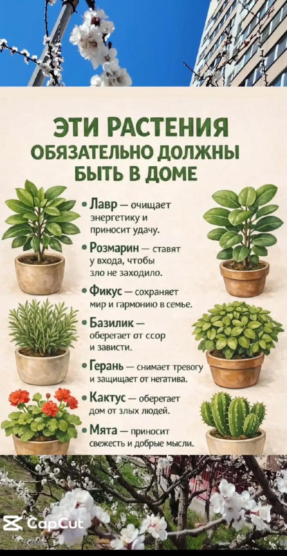 @Наталия Мельниченко