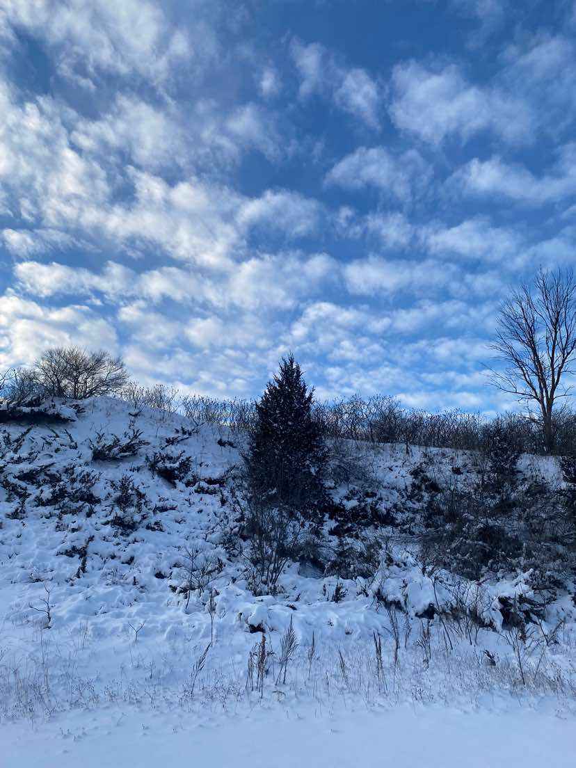 @☦︎ 🌲