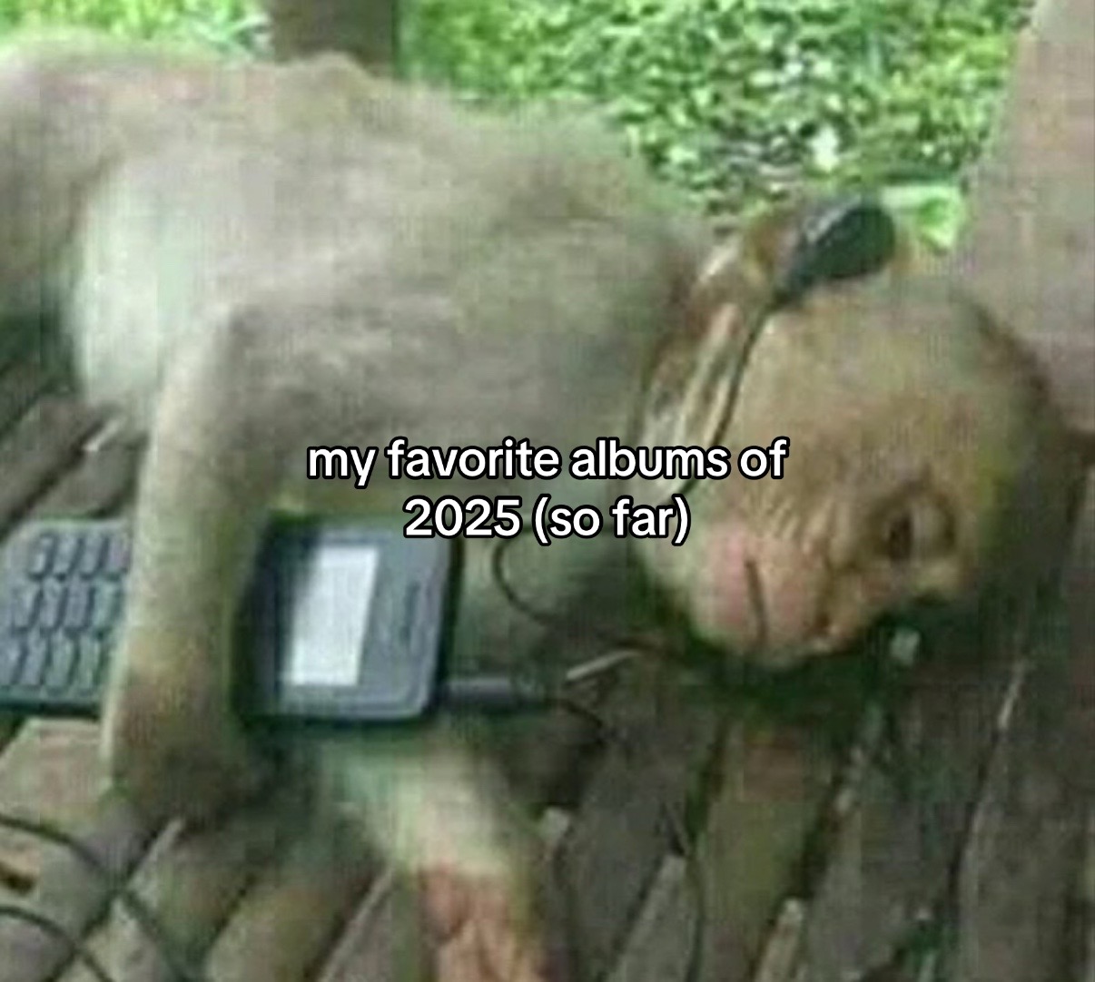 @Aidan