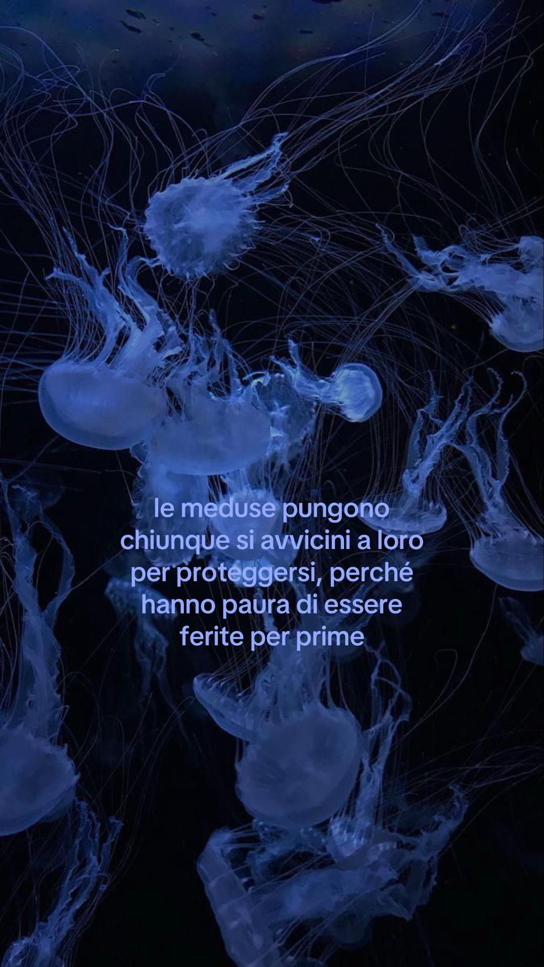 @Maria