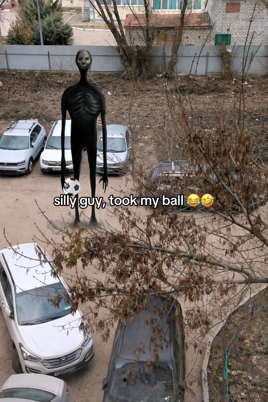 @rexv3