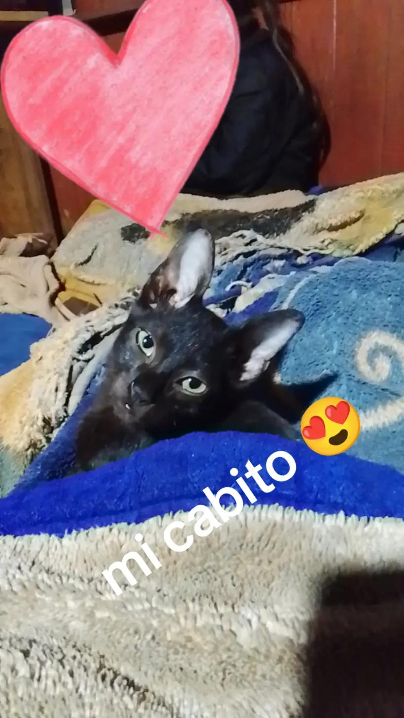 @Bian Bustamante( Army's 💜🫰)
