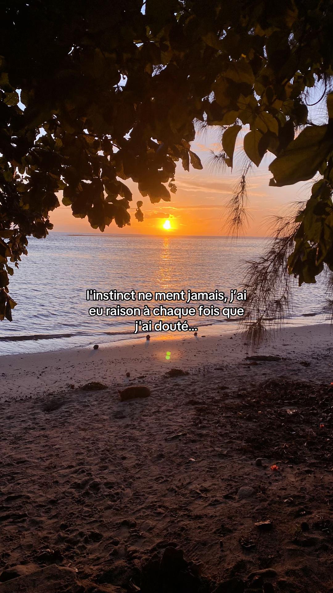 @𝓑𝓮𝓵𝓵𝓪