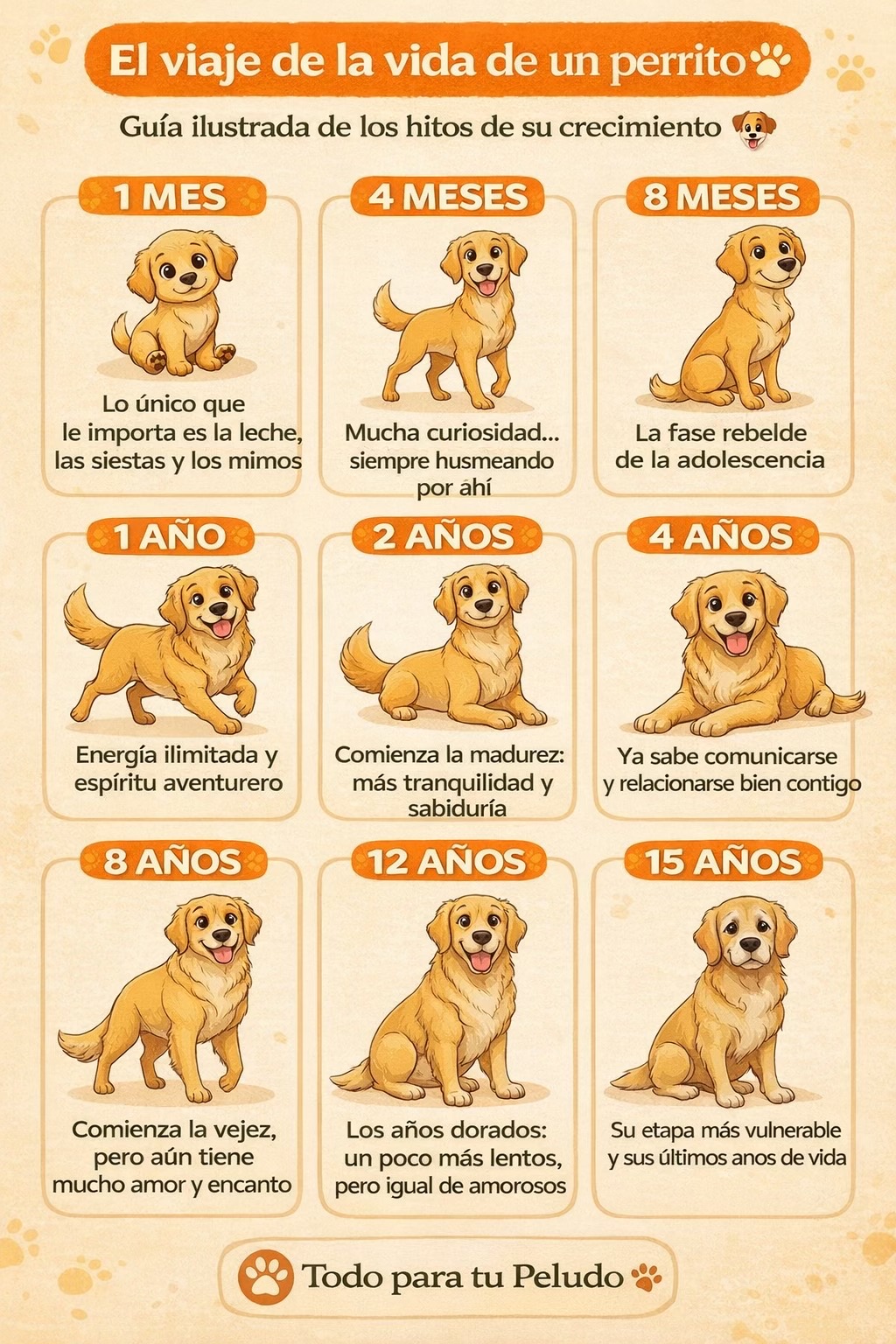 @Todo para tu peludo