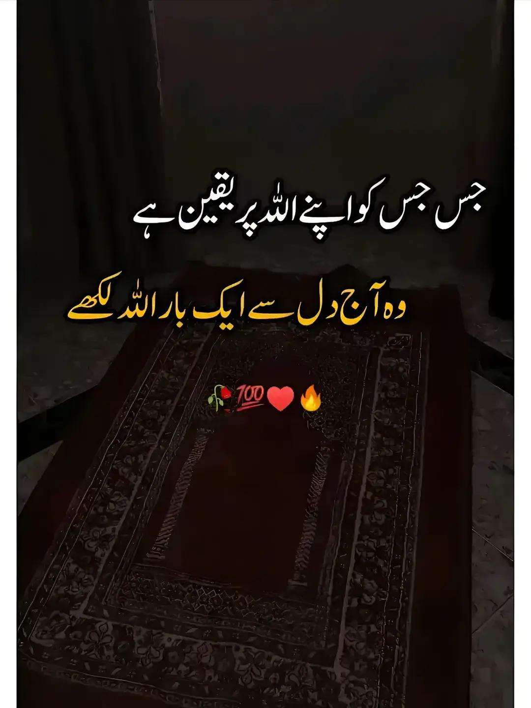 @Tariq dullo 05🔥