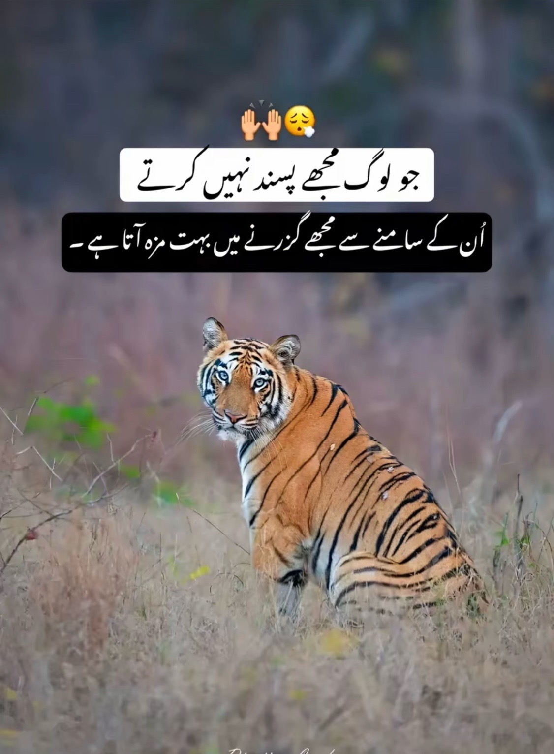 @💫ہارون،گجر،کھٹانہ💥