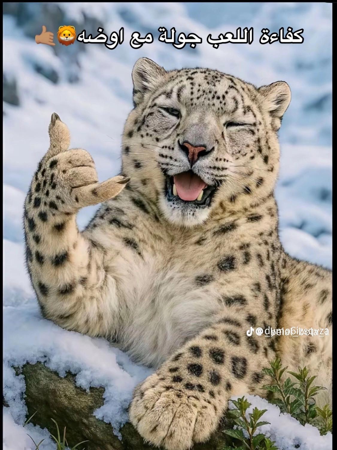 @يوسف أجن🥷🦁