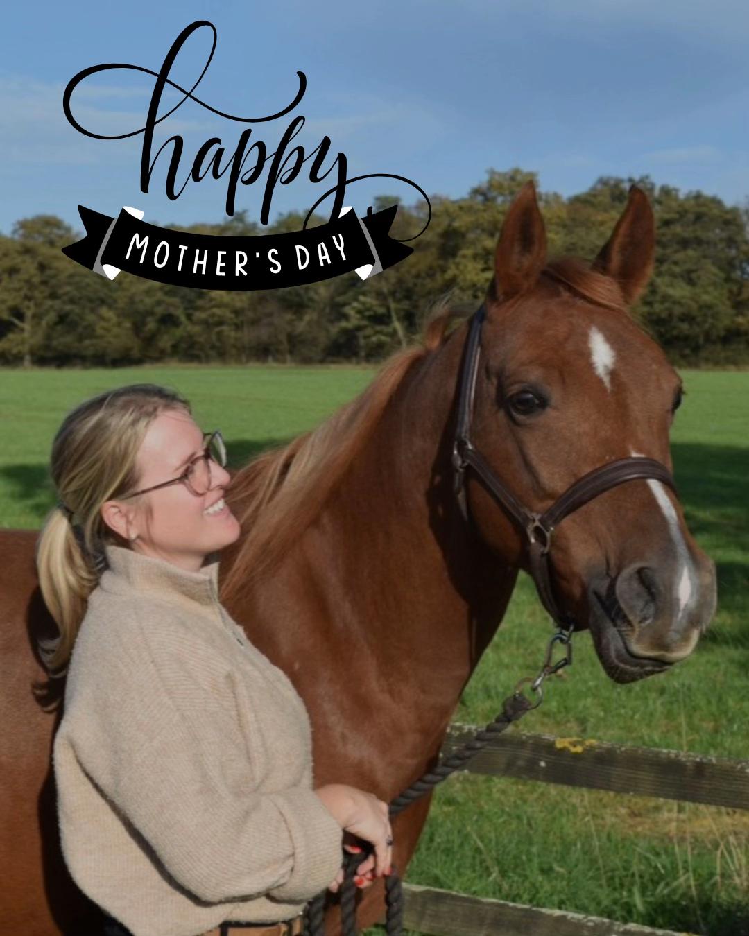 @RibbleValleyHorseRugs ®️