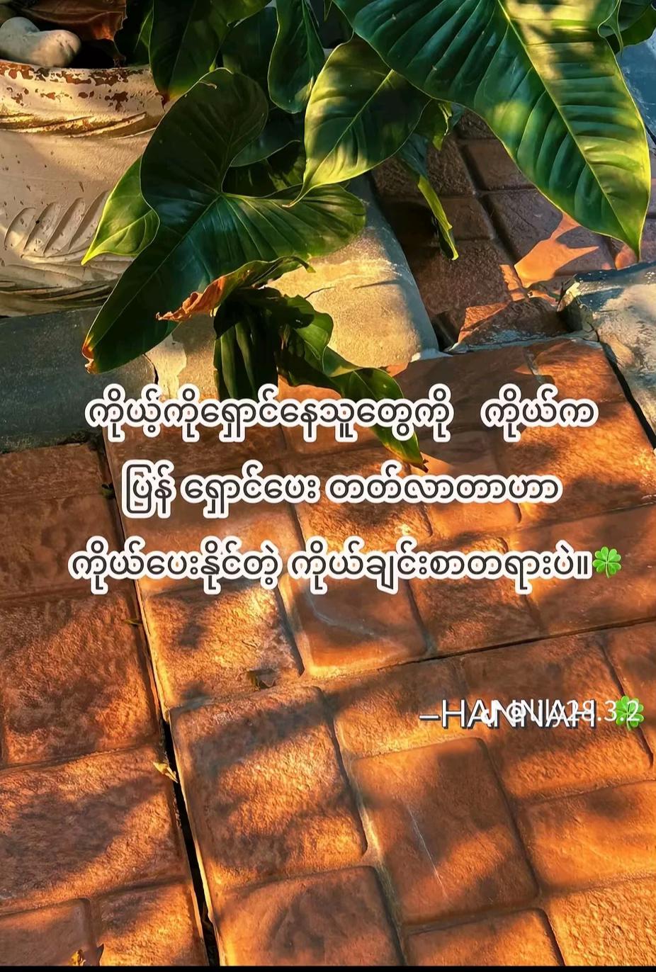 @WinEi263