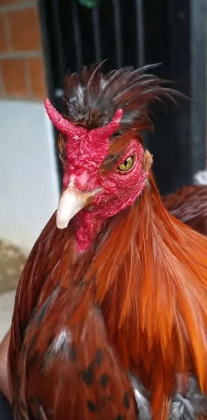 @user580093481