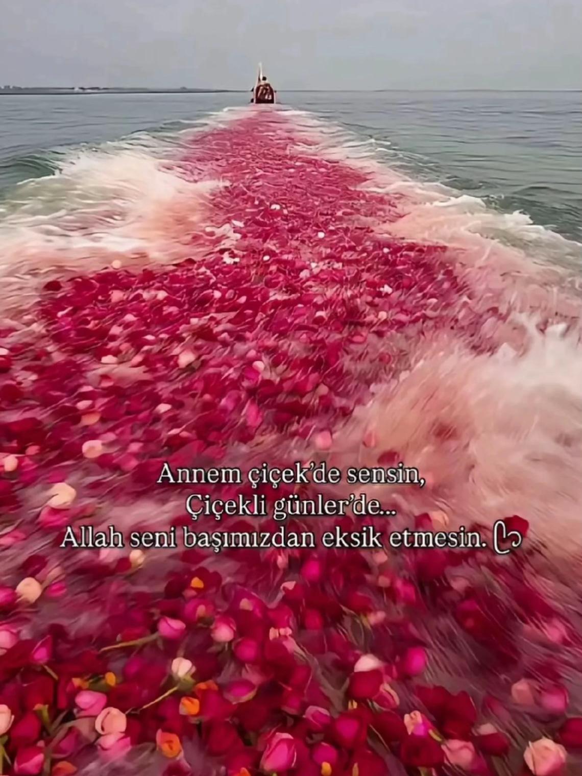 @к уıℓм&alpha;z21