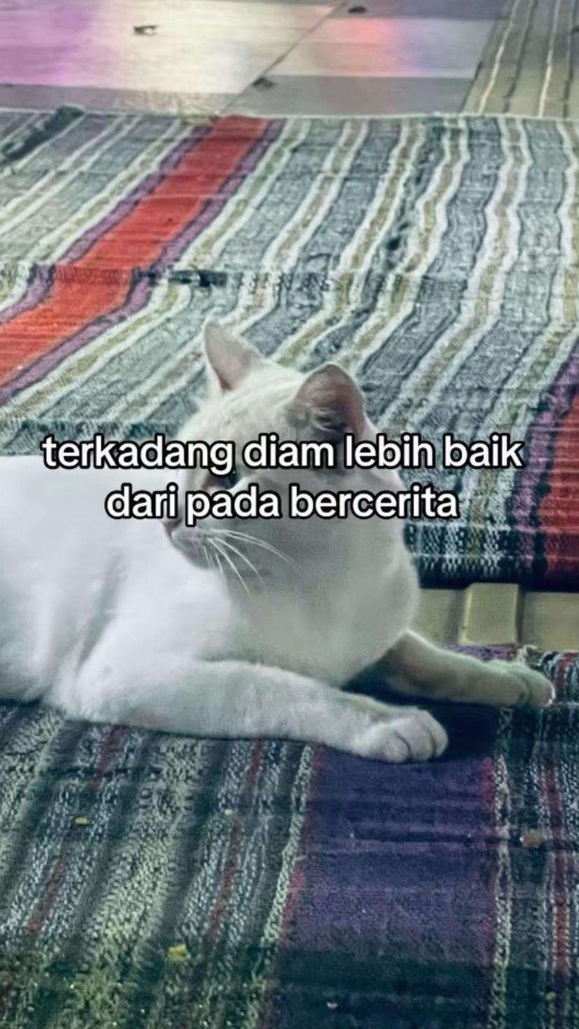 @shella_febriana01