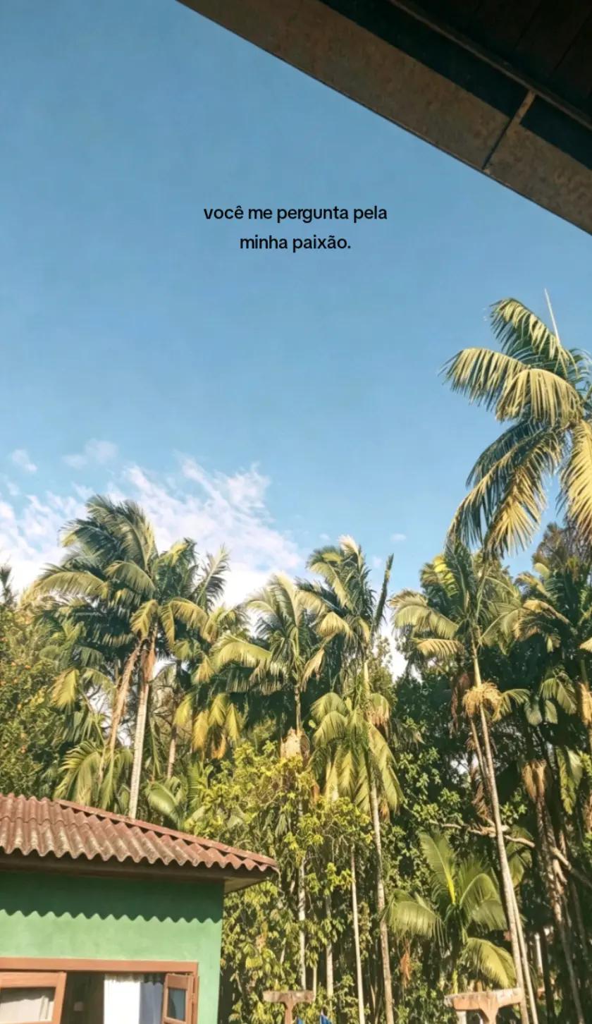 @slk é a juh