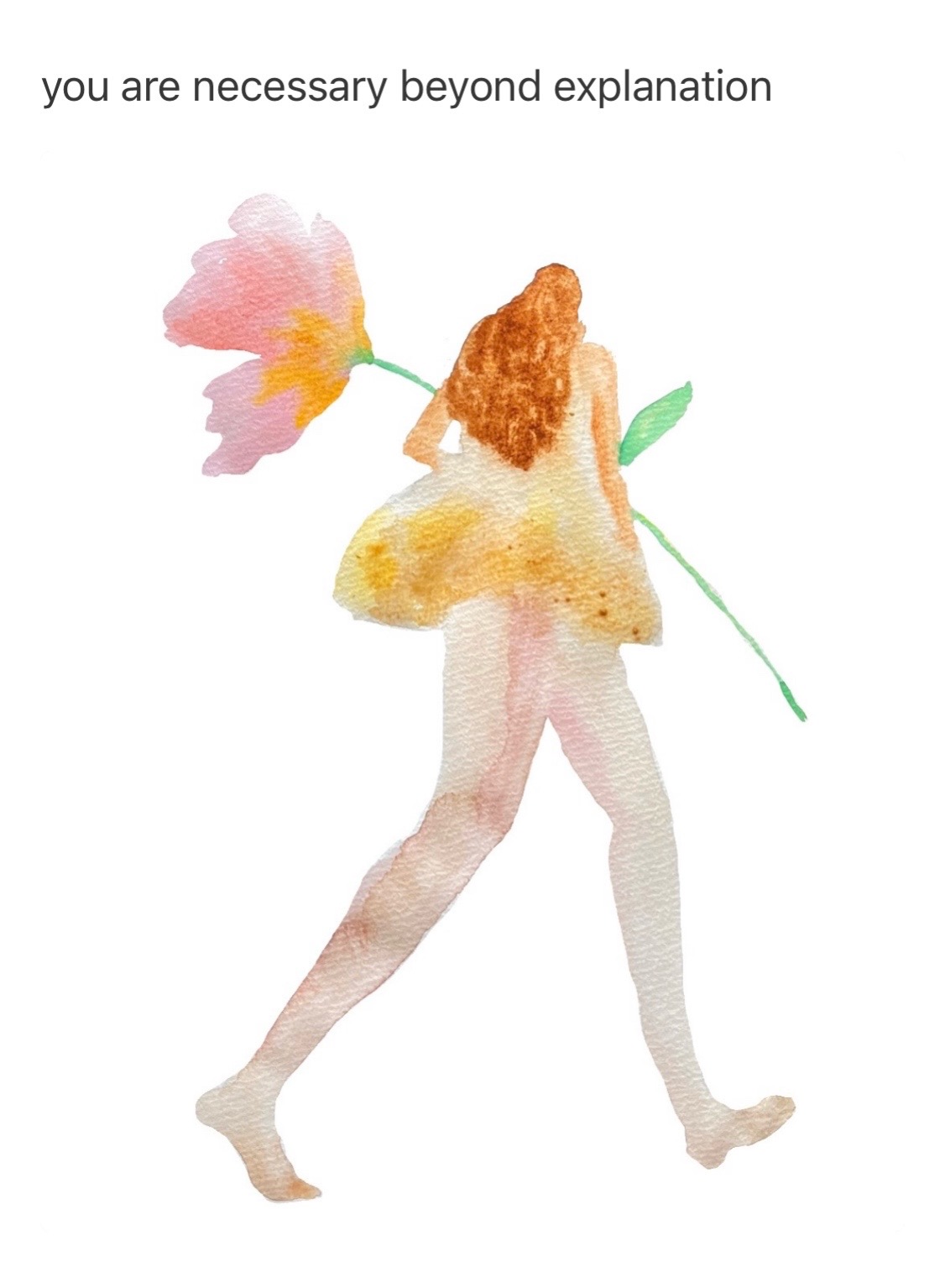 @Tims daily flowers