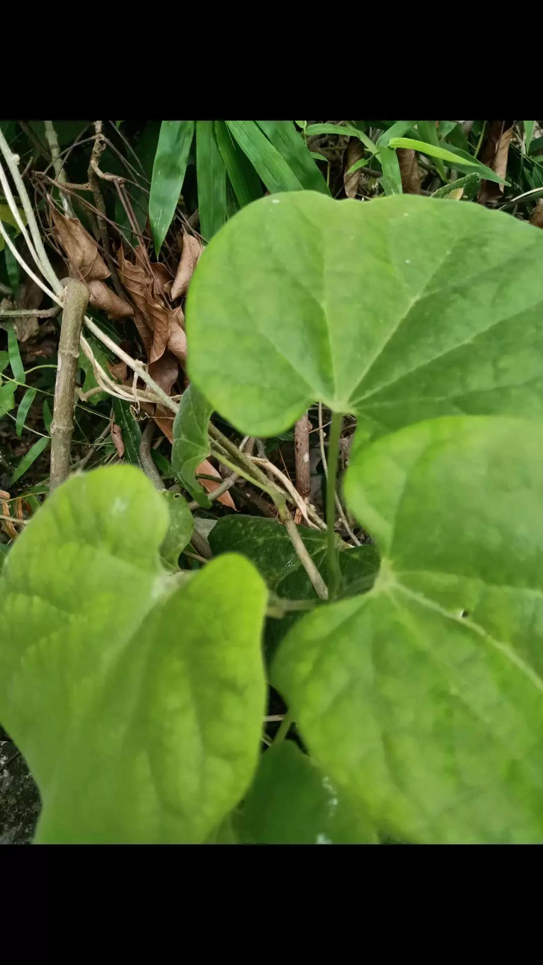 @thương công sức khỏe