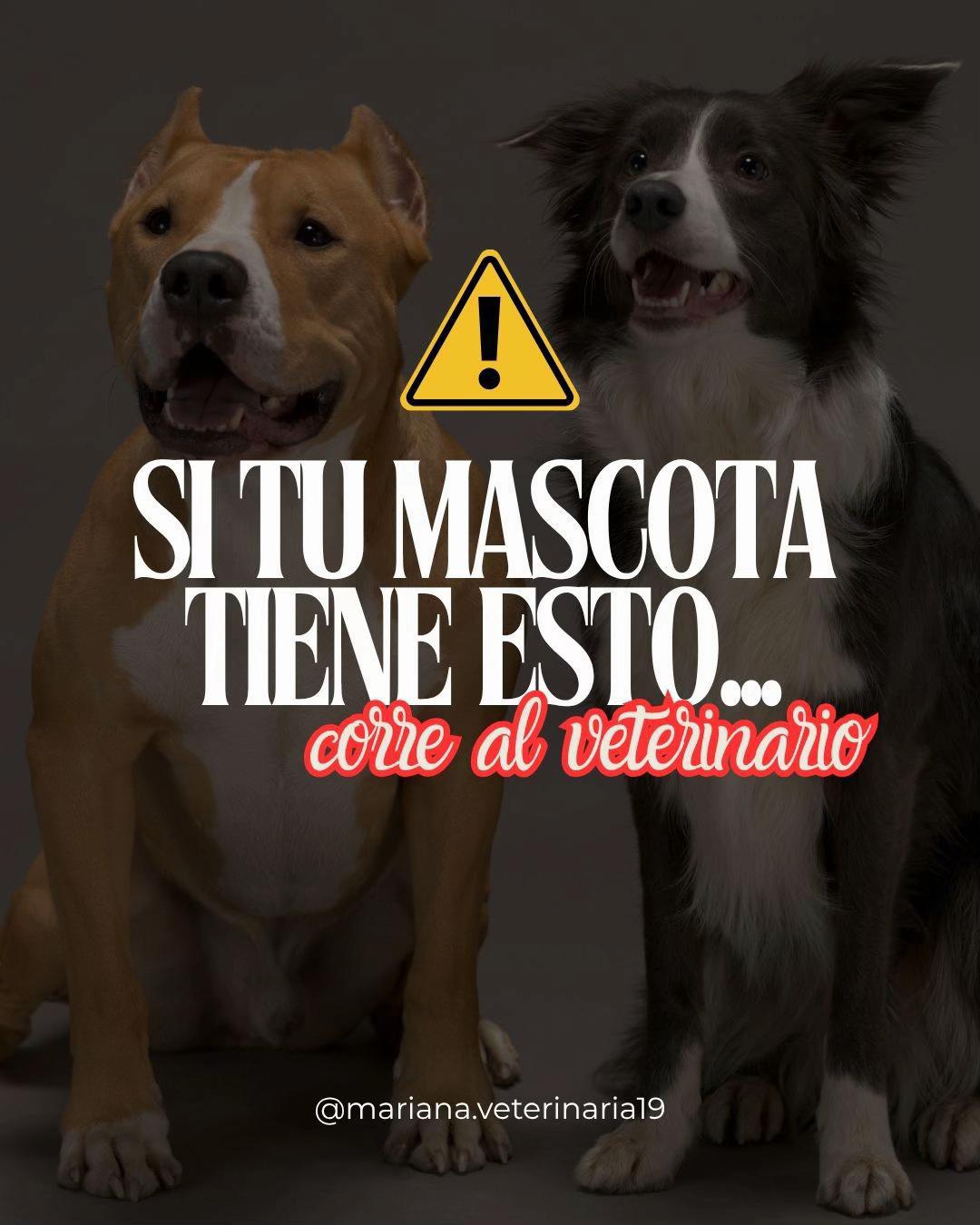 @Mariana Parra