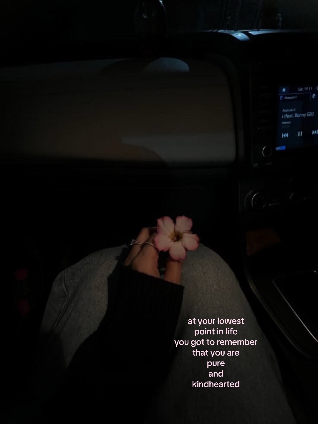 @alexis🪷