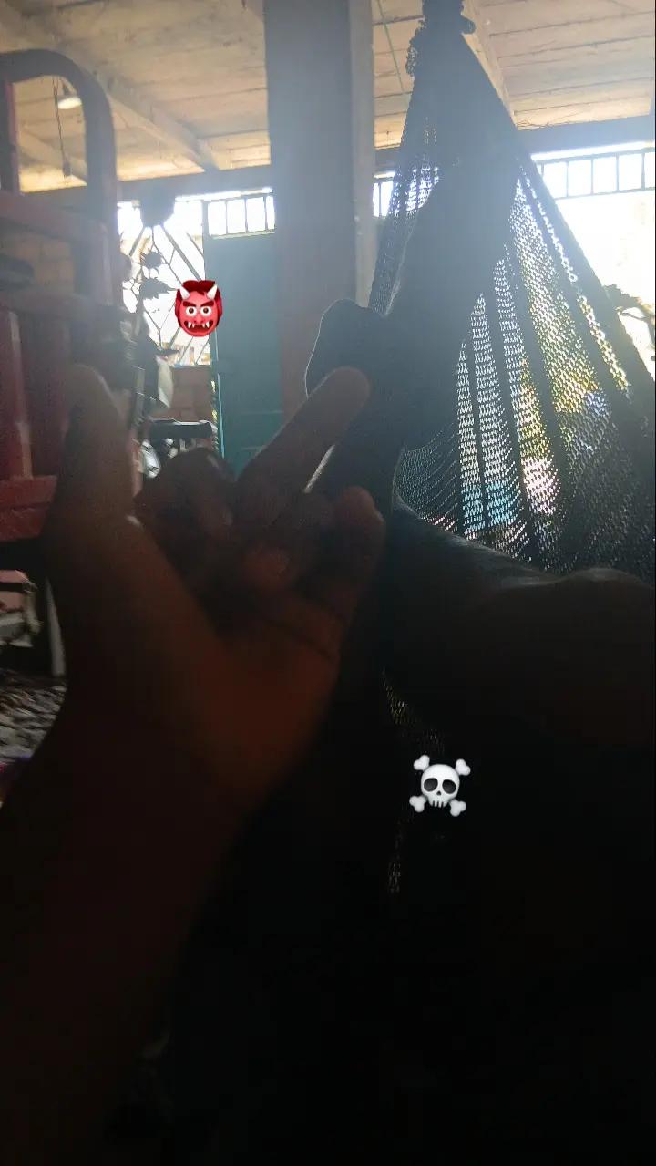 @Juantuanamatapullima_musico