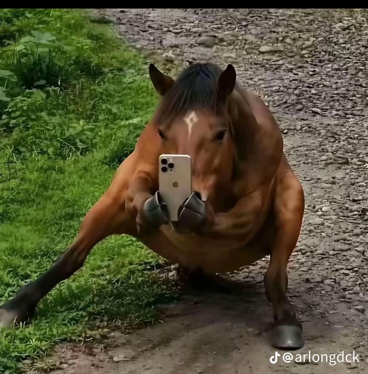@jakevrs_130