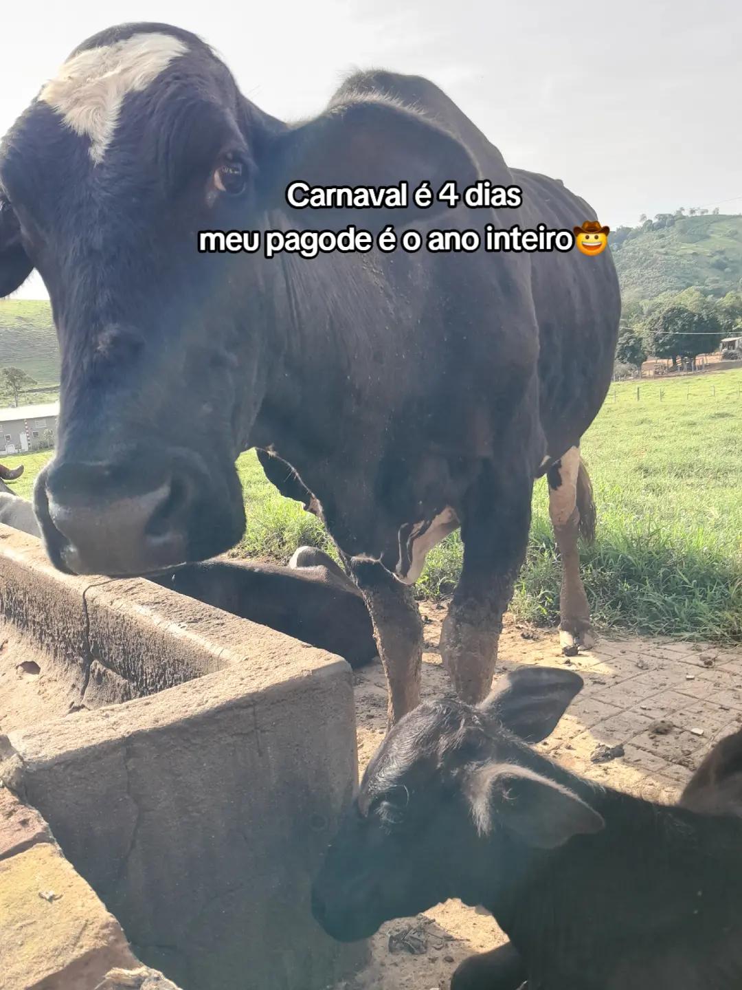 @ana julia