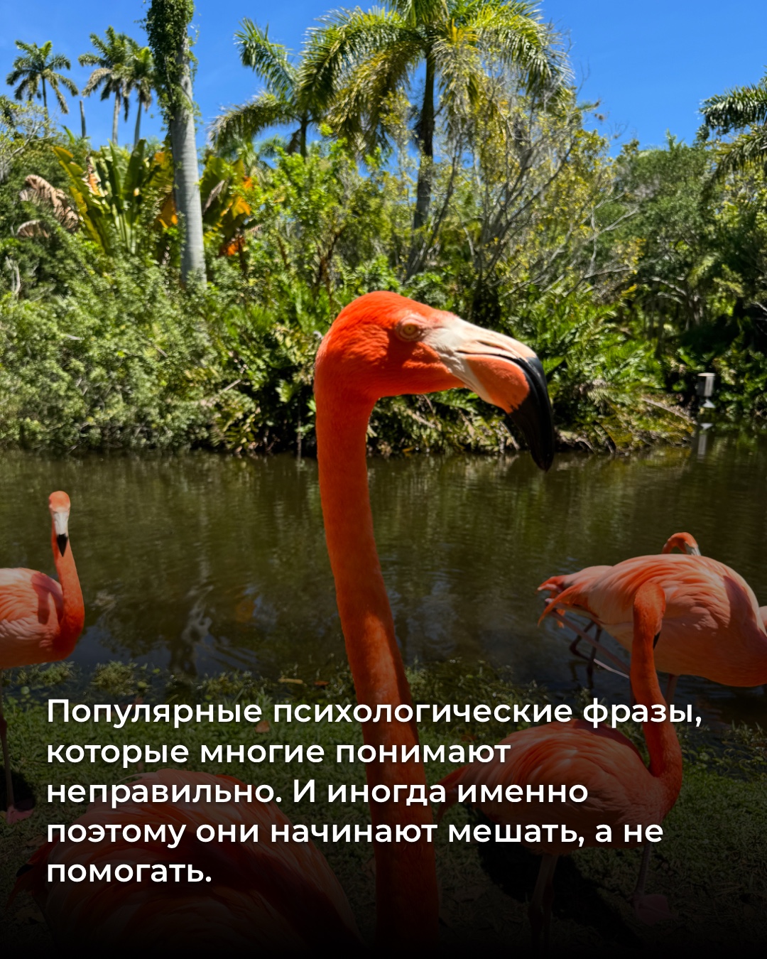 @svetlana_konovalov