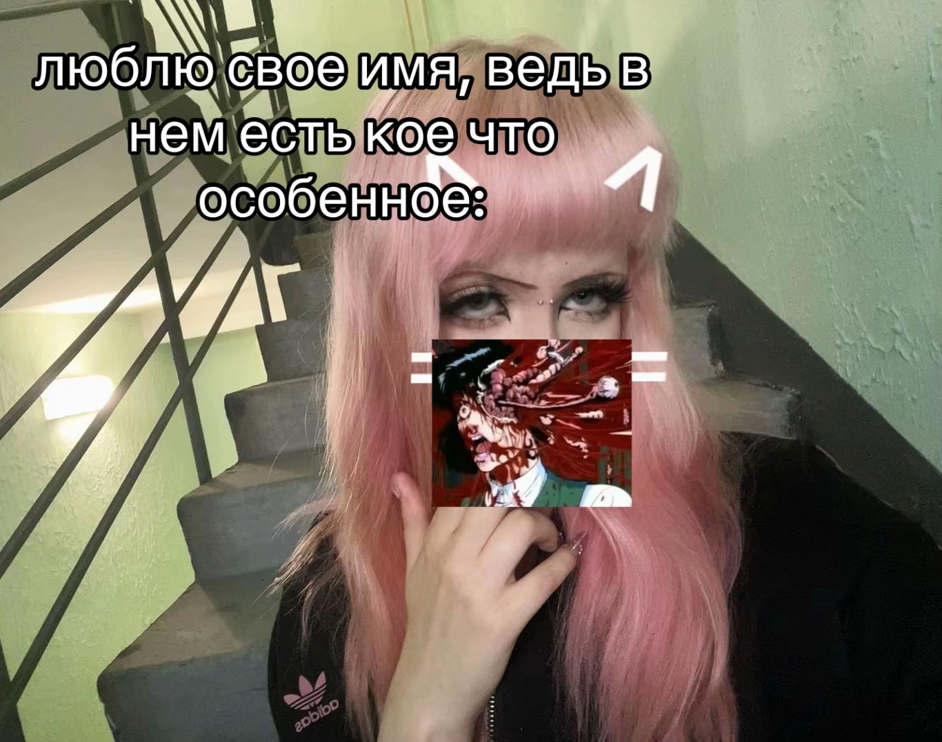 @kitty🪽🐾