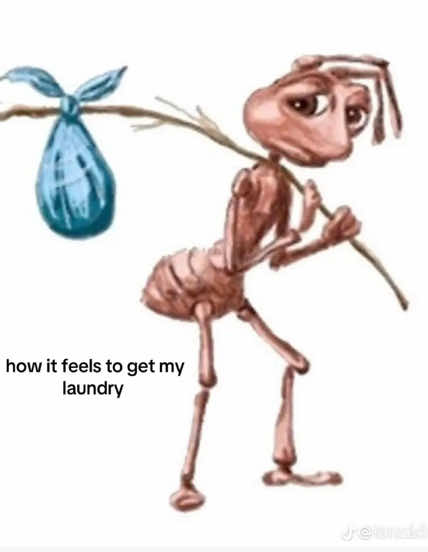 @𝕊𝕦𝕞𝕞𝕖𝕣