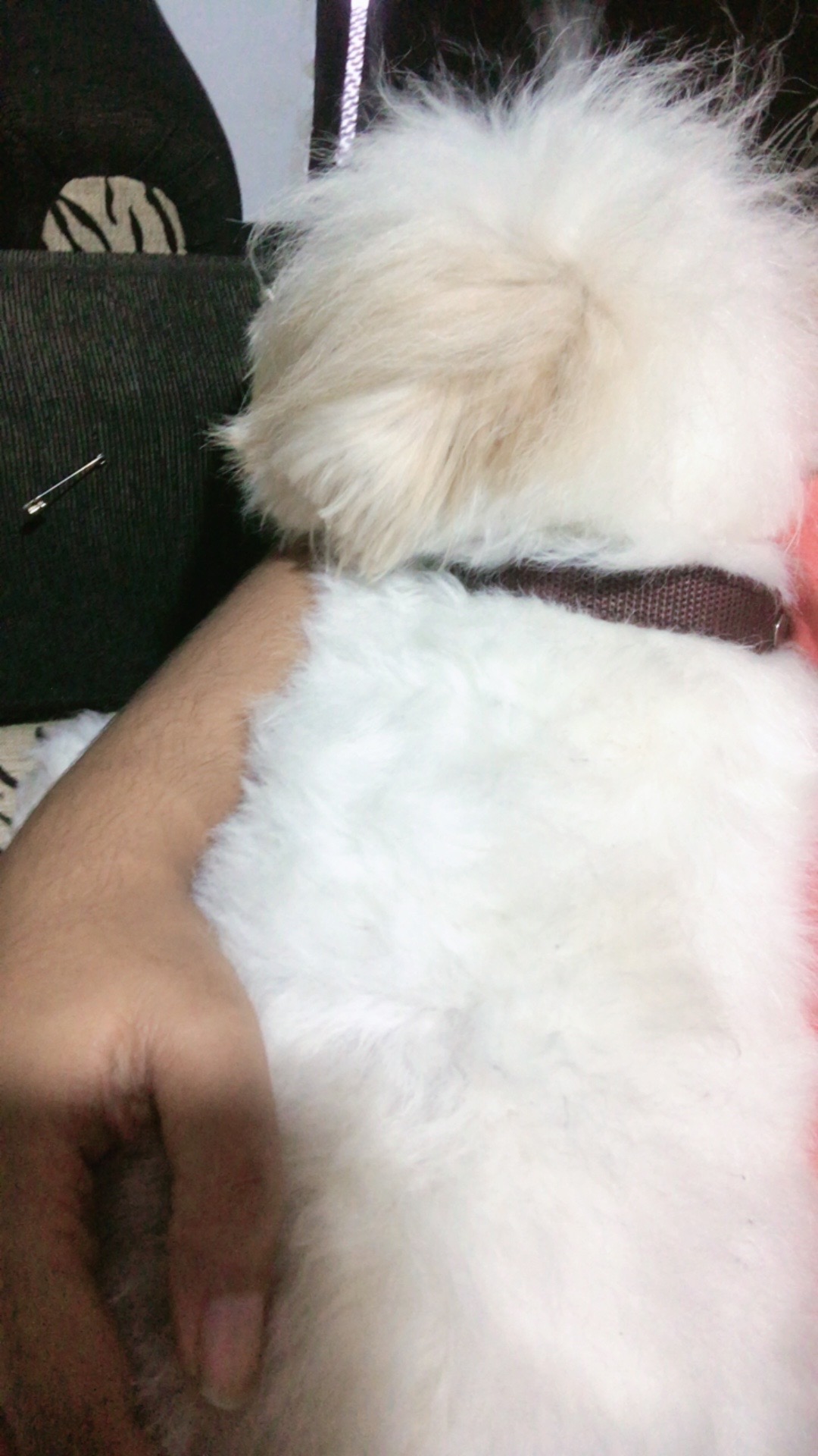 @ㅤMISHI✿