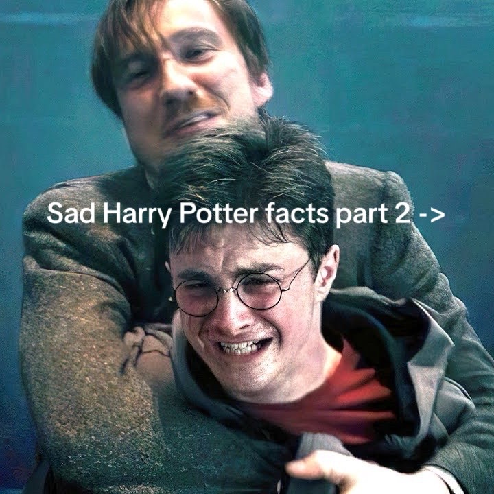 @Just a Potterhead 🫡